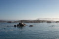 Elephant Rocks